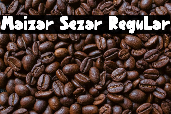Maizar Sezar Regular Example 1