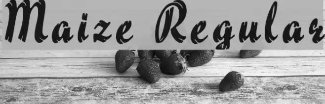 Maize Regular Font examples