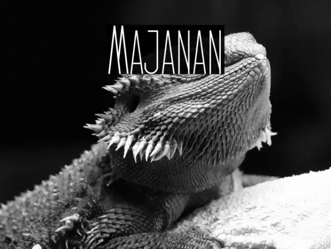 Majanan Font examples