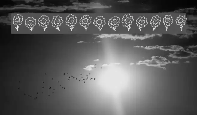 Maja's Flowers Fonte examples