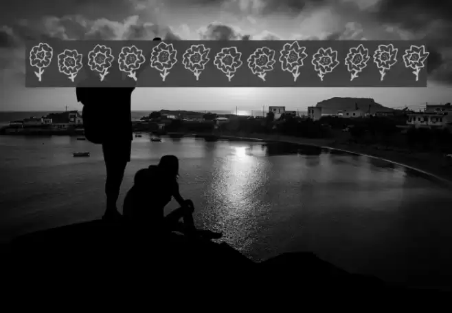 Maja's Flowers Fonte examples