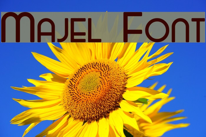 Majel Font examples