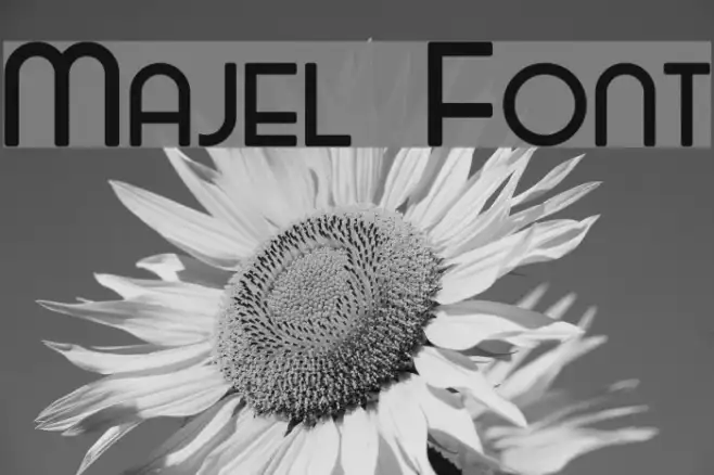 Majel Example 2