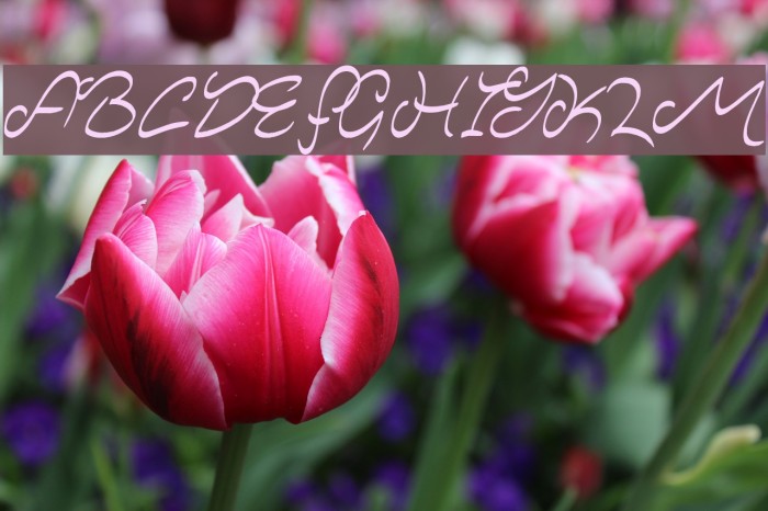 Majestic Mansion Example 1