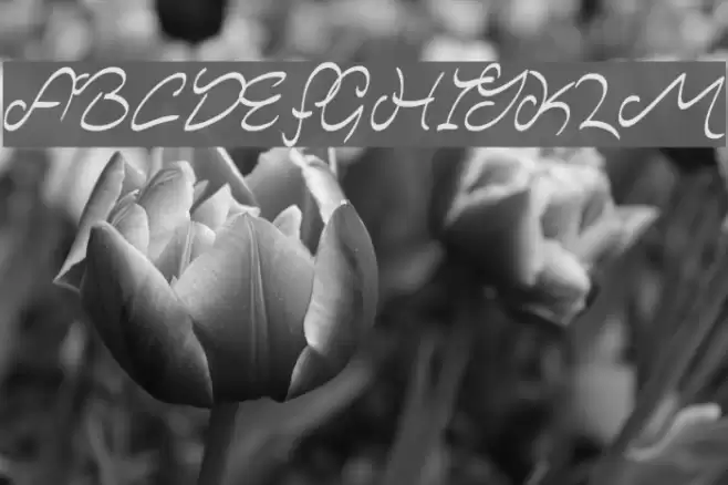 Majestic Mansion Font examples