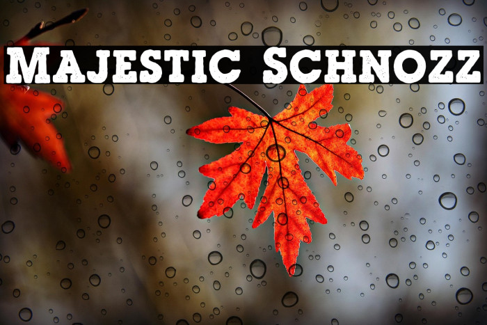 Majestic Schnozz Example 1