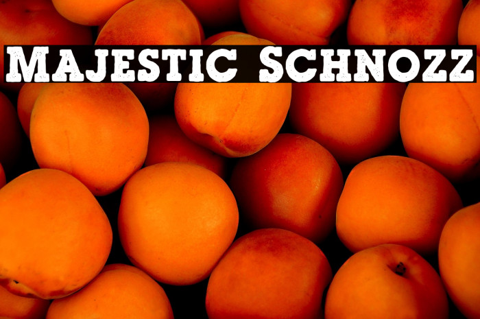 Majestic Schnozz Example 3