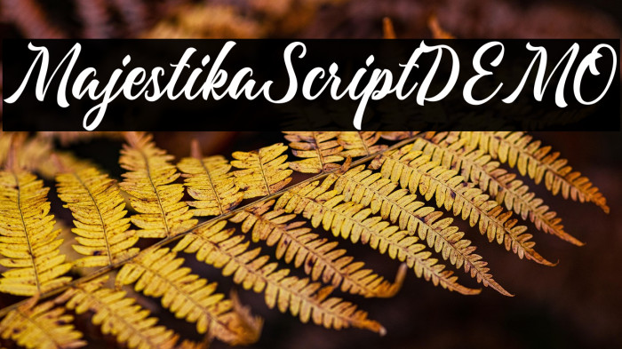 MajestikaScriptDEMO Example 1