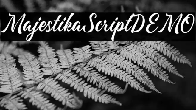 MajestikaScriptDEMO Font examples