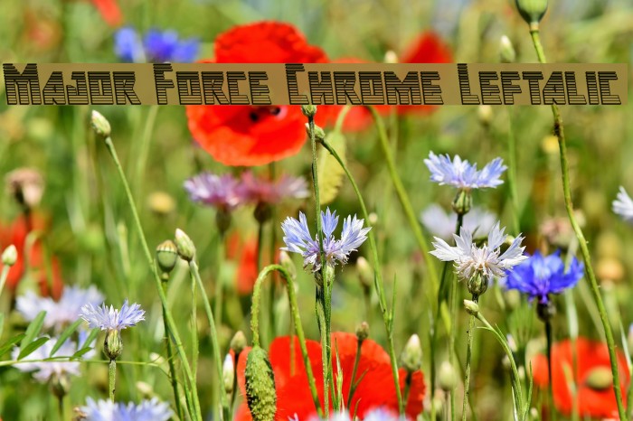 Major Force Chrome Leftalic Font examples