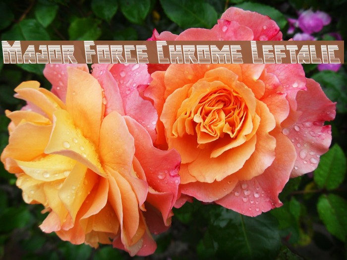 Major Force Chrome Leftalic Font examples