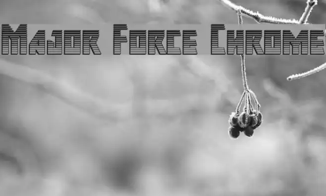 Major Force Chrome Example 2