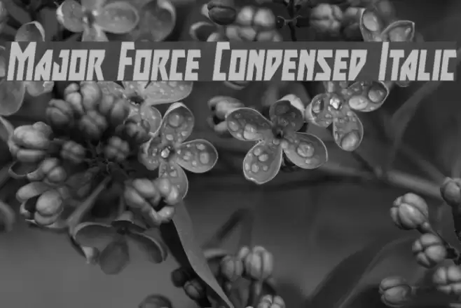 Major Force Condensed Italic Font examples