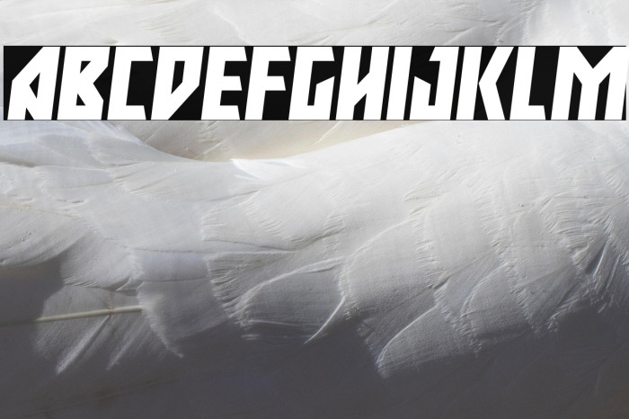 Major Force Expanded Italic Example 3