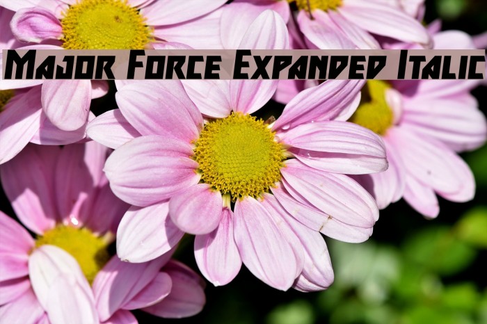 Major Force Expanded Italic Font examples