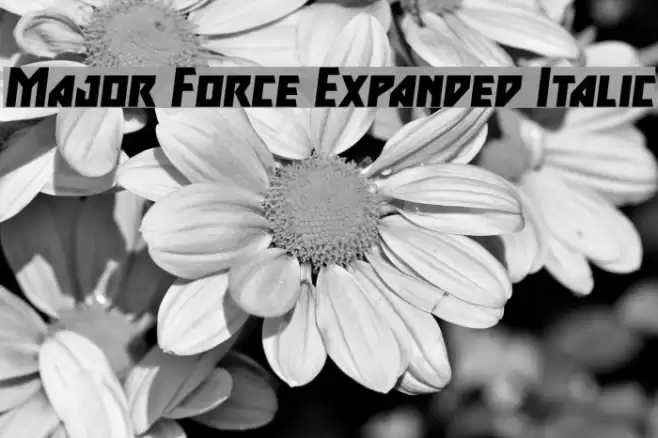 Major Force Expanded Italic Font examples