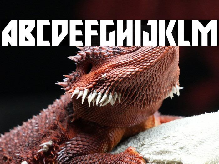 Major Force Expanded Example 1