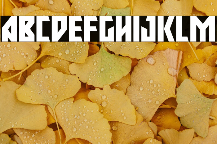 Major Force Expanded Example 2