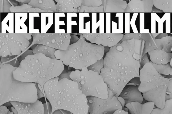 Major Force Expanded Font examples