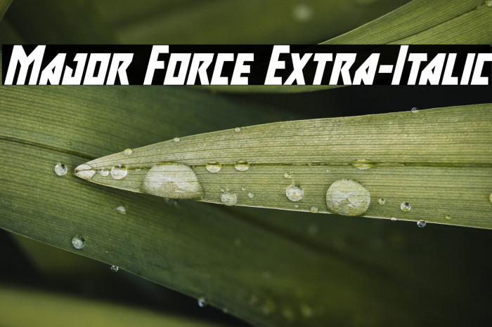 Major Force Extra-Italic Example 2