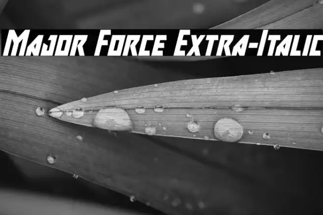 Major Force Extra-Italic Font examples