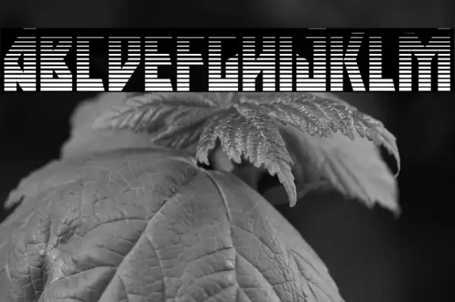 Major Force Gradient Font examples