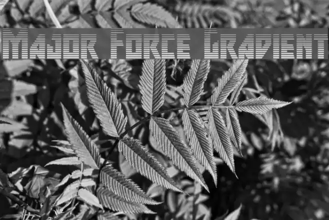 Major Force Gradient Font examples