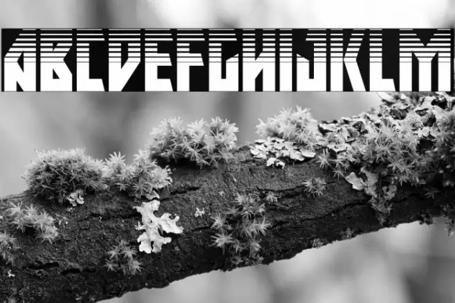 Major Force Halftone Font examples