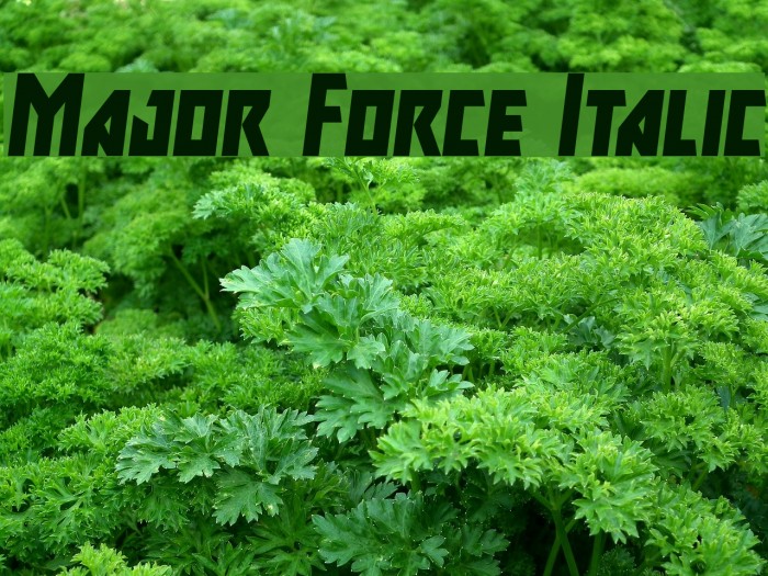 Major Force Italic Example 2