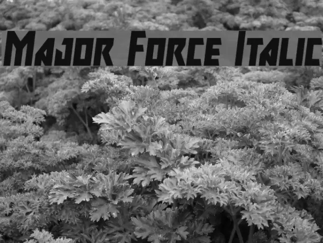 Major Force Italic Font examples