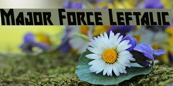 Major Force Leftalic Font examples