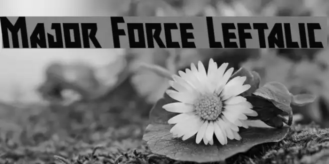 Major Force Leftalic Example 3
