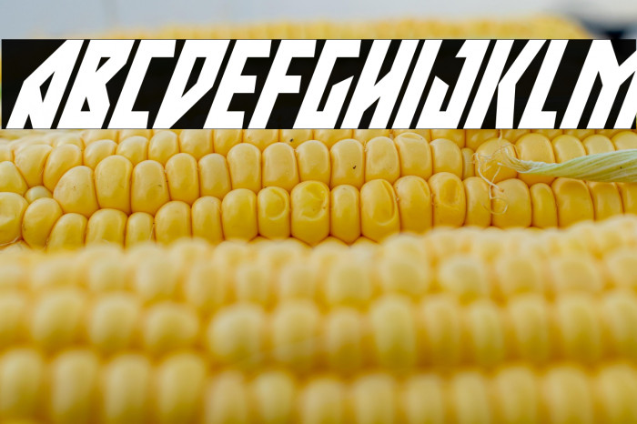 Major Force Super-Italic Example 1