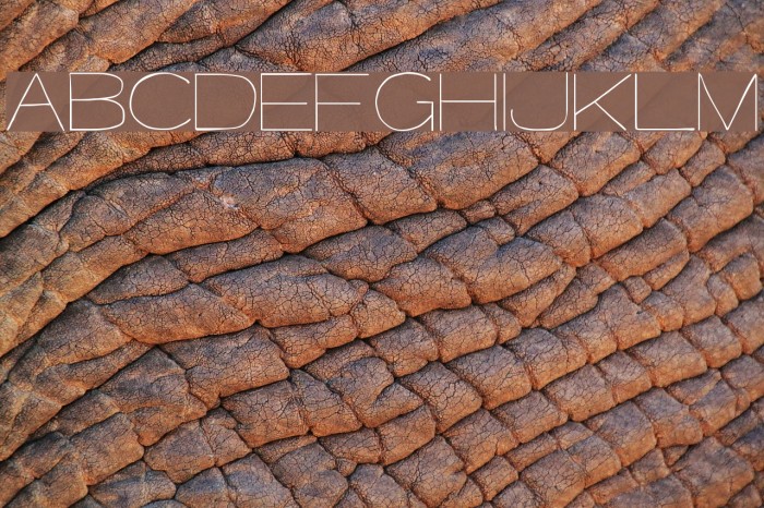 Major Kong Font examples