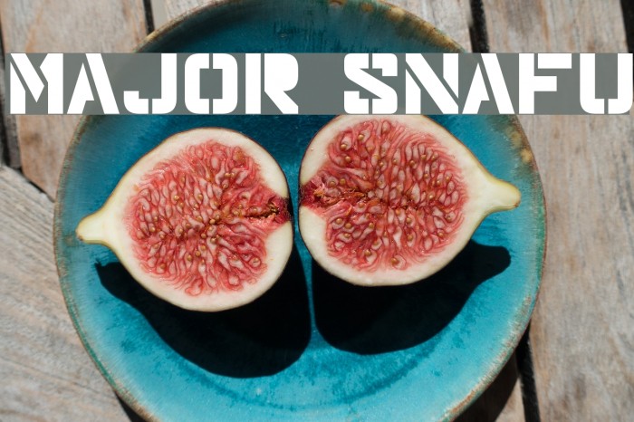 Major Snafu Font examples