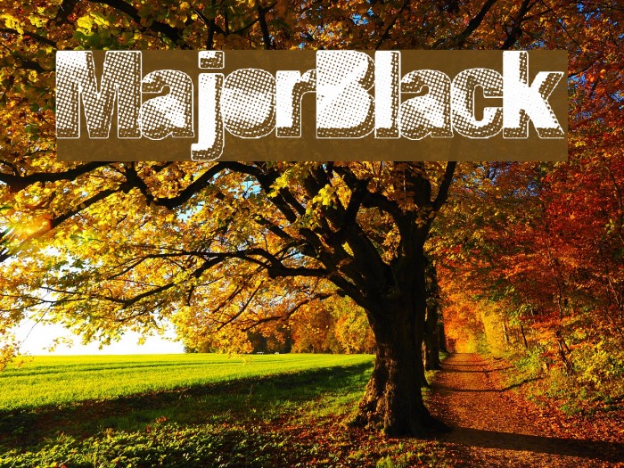 MajorBlack Font examples