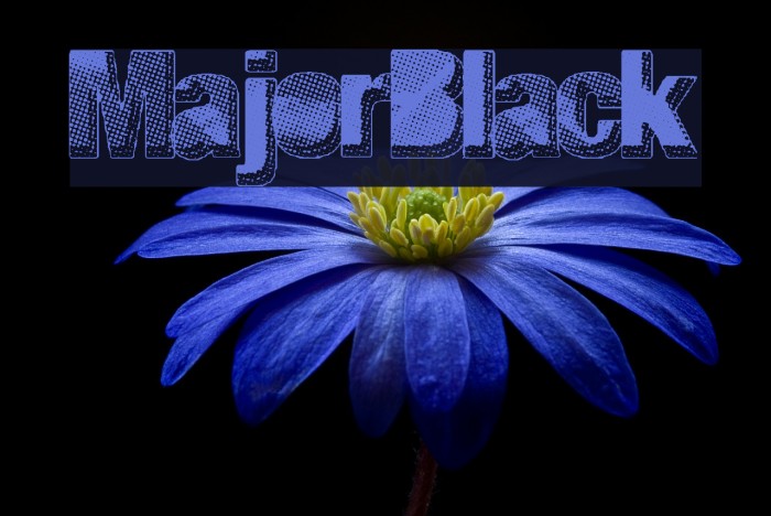 MajorBlack Font examples