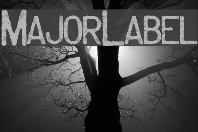 MajorLabel Example 1