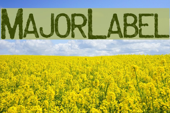 MajorLabel Font examples
