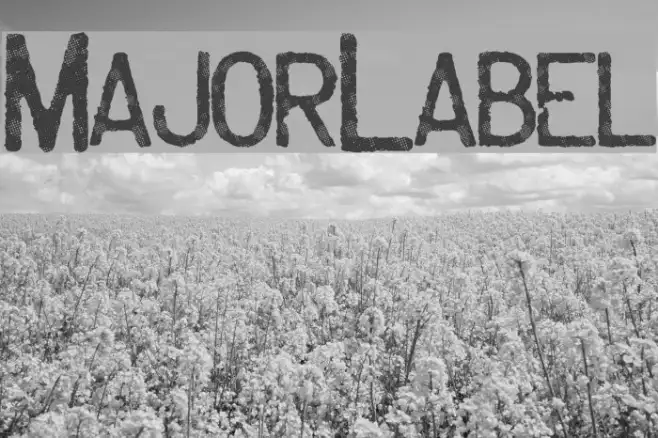 MajorLabel Example 2