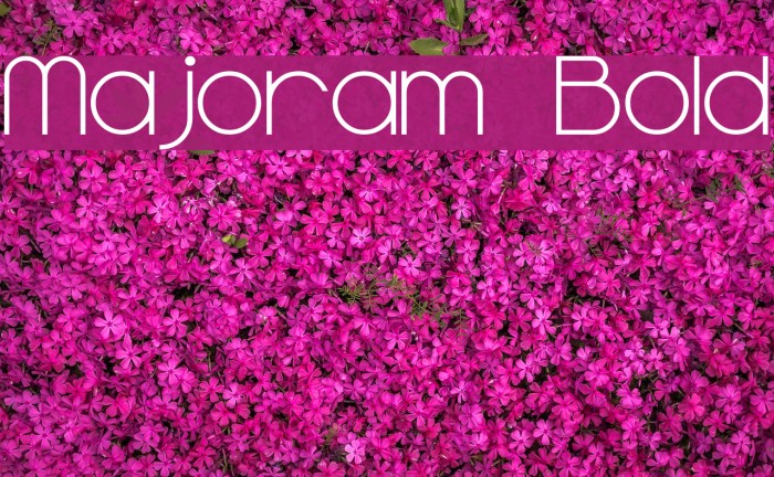 Majoram Bold Example 1