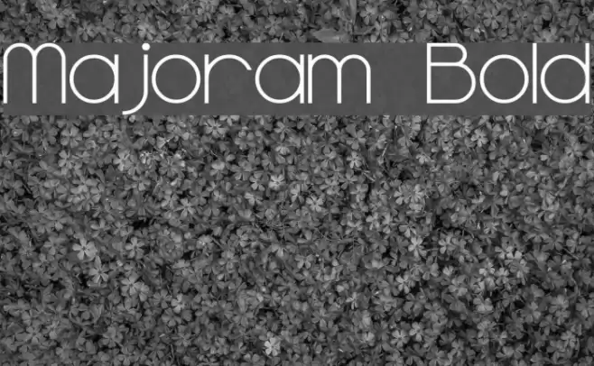 Majoram Bold Font examples