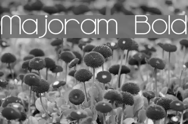 Majoram Bold Font examples