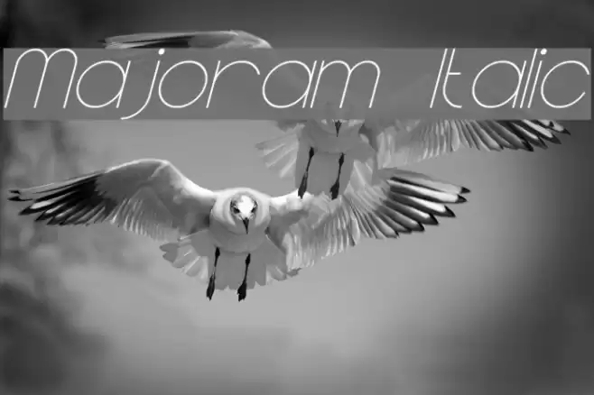 Majoram Italic Font examples