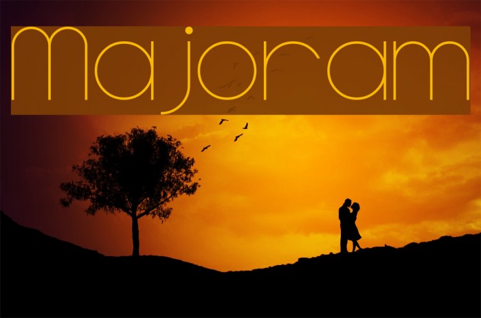 Majoram Font examples