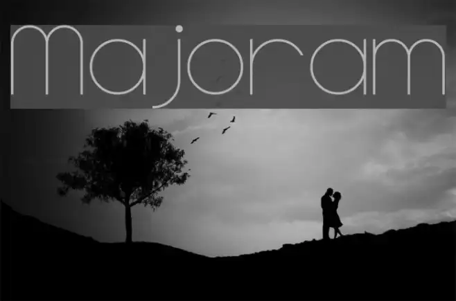 Majoram Example 1