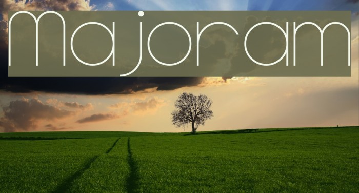 Majoram Font examples