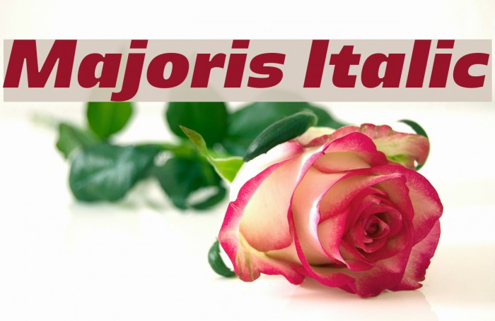 Majoris Italic Font examples