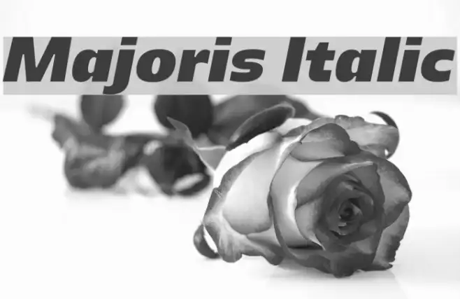 Majoris Italic Example 2