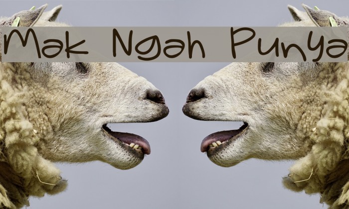 Mak Ngah Punya Example 2